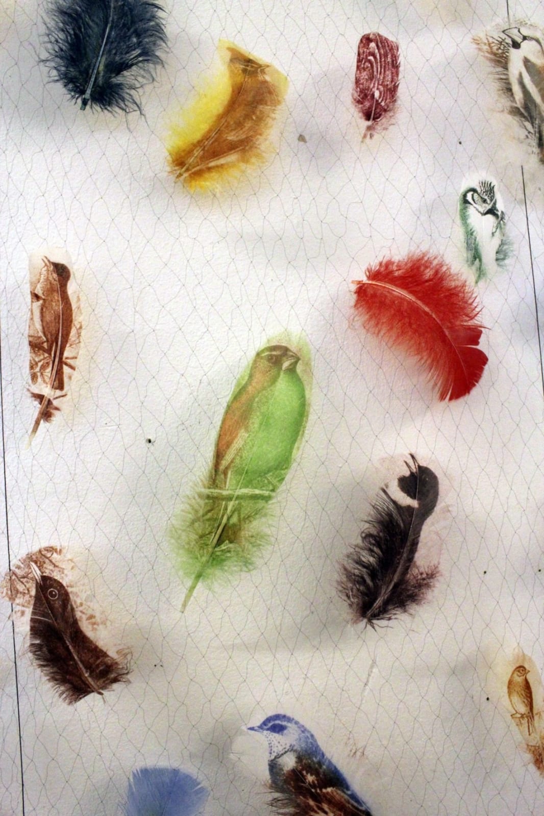 Rebecca Jewell, Mist Net, 2014