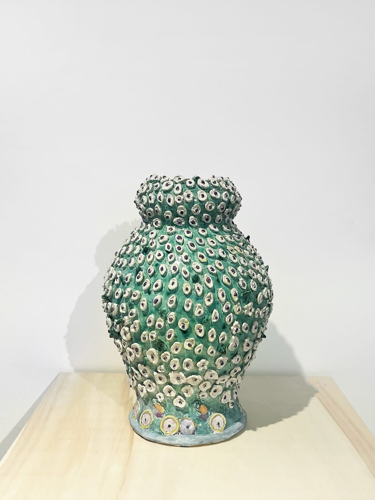 Fons van Laar, Tour de Sol, 2024-2025