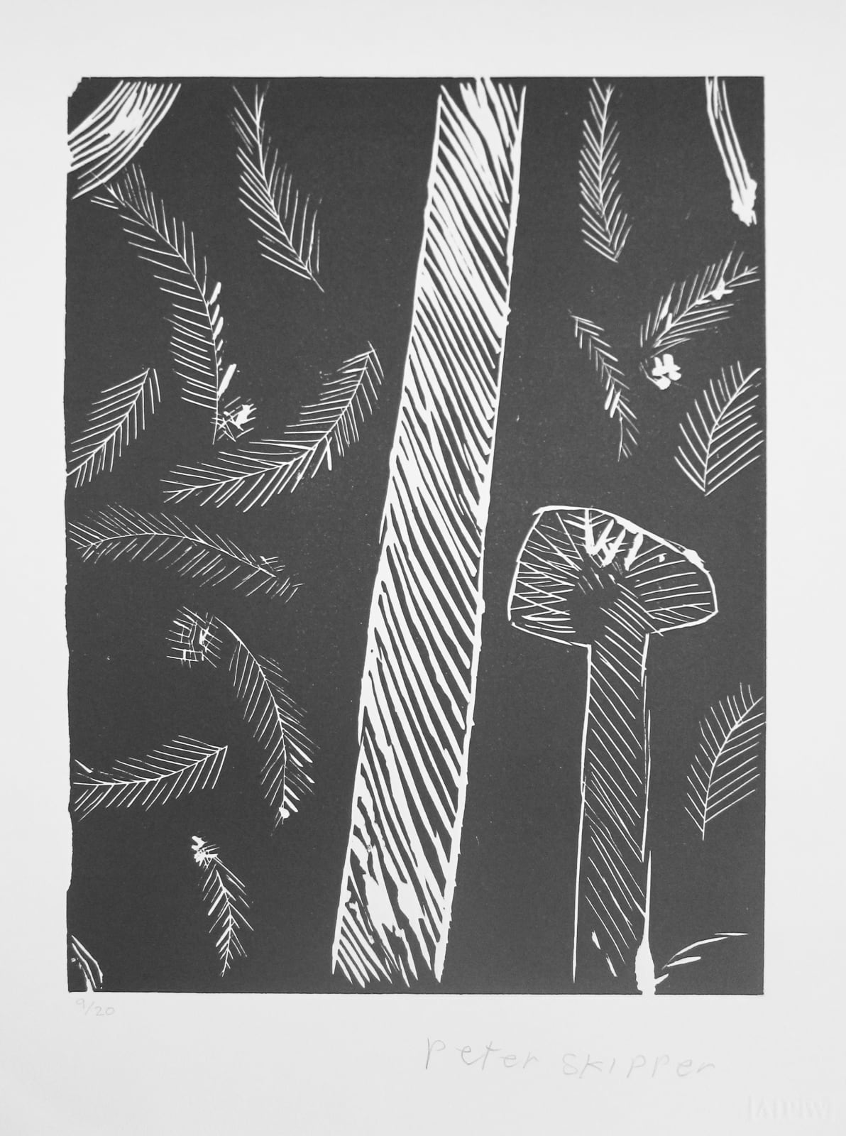 Pijaji Peter Skipper, Tinyjil and Turtujarti, 1995