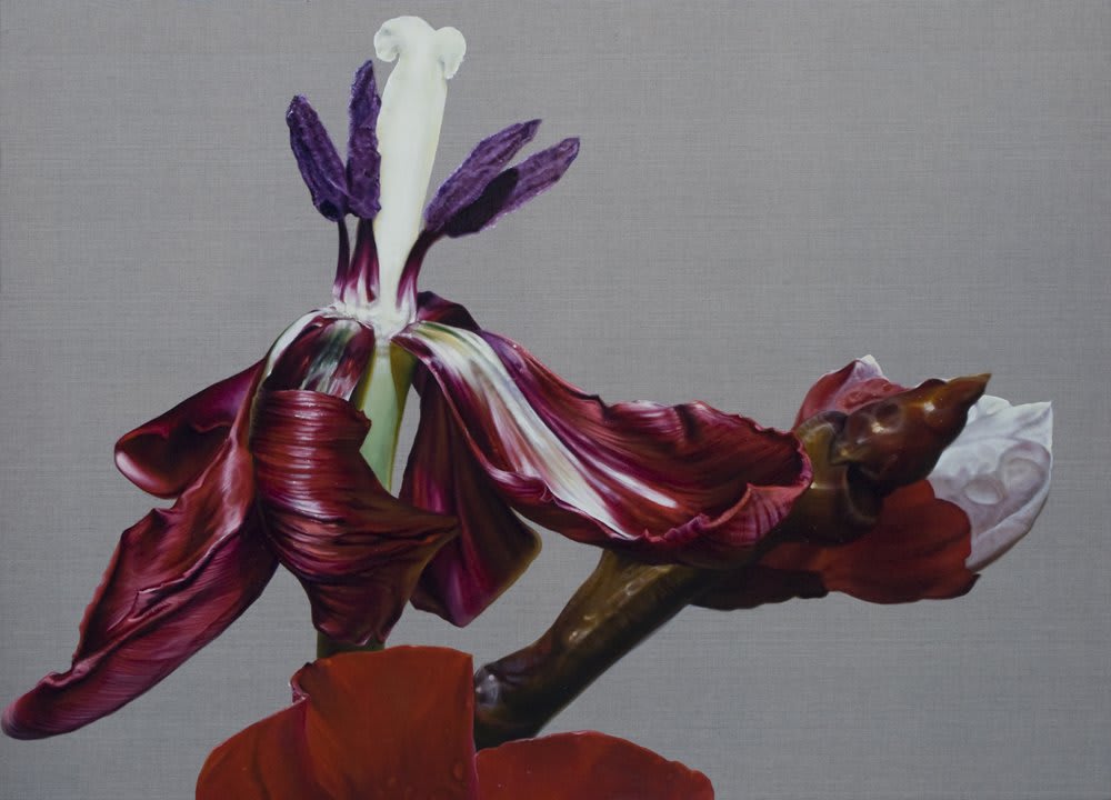 Anne Middleton, Red Tulip; The Day Of Death, 2012