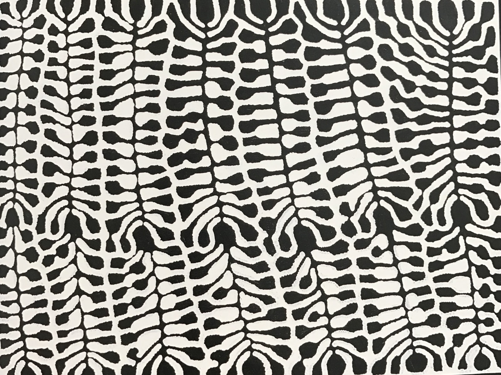 Mitjili Naparrula, Kulata Tjukurrpa Tree Dreaming, 2001