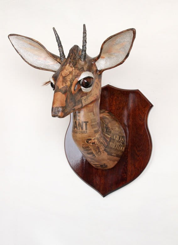 David Farrer, Kirk's Dik Dik, 2012