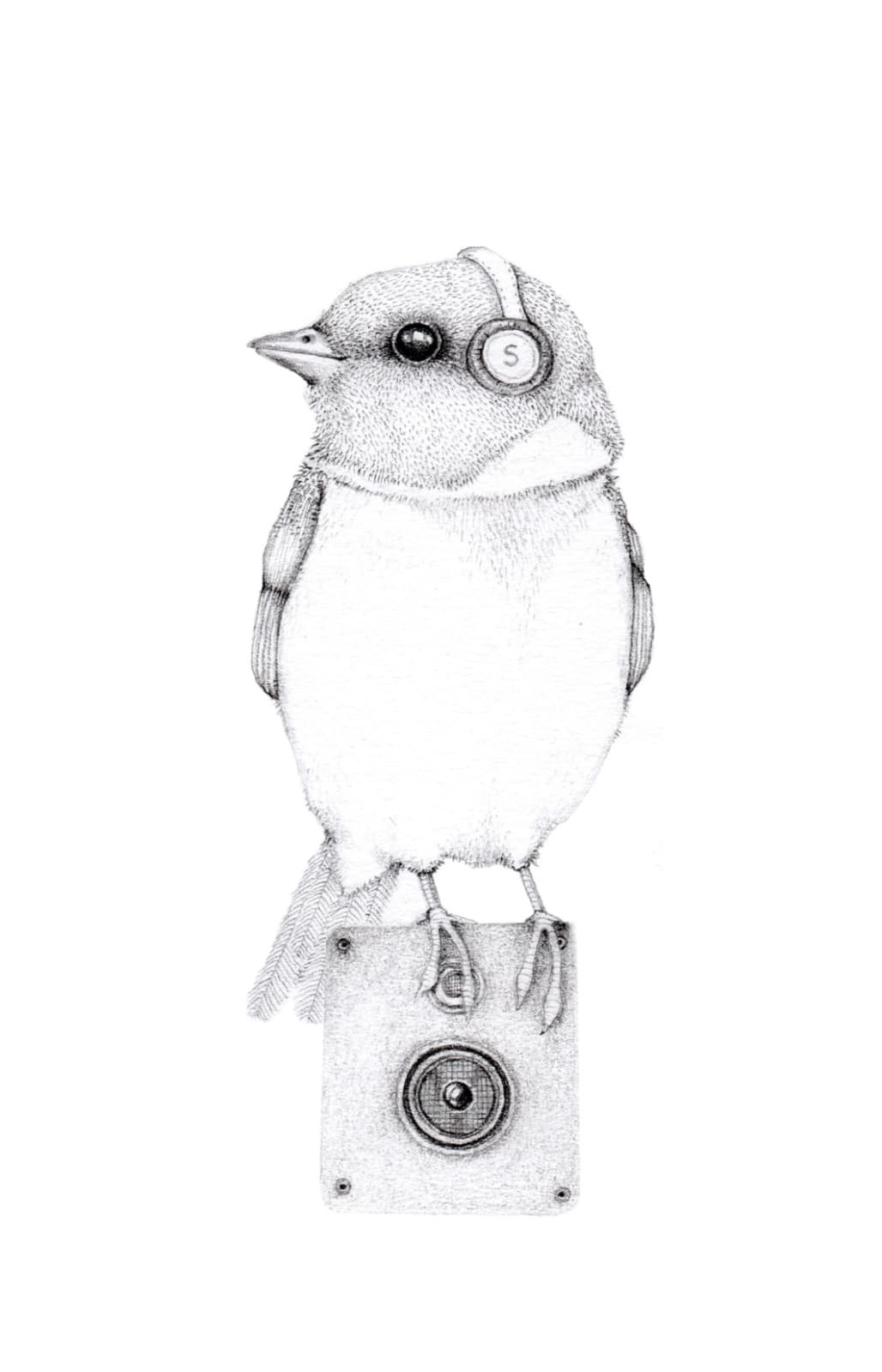 Jackie Case, Song Bird, 2014