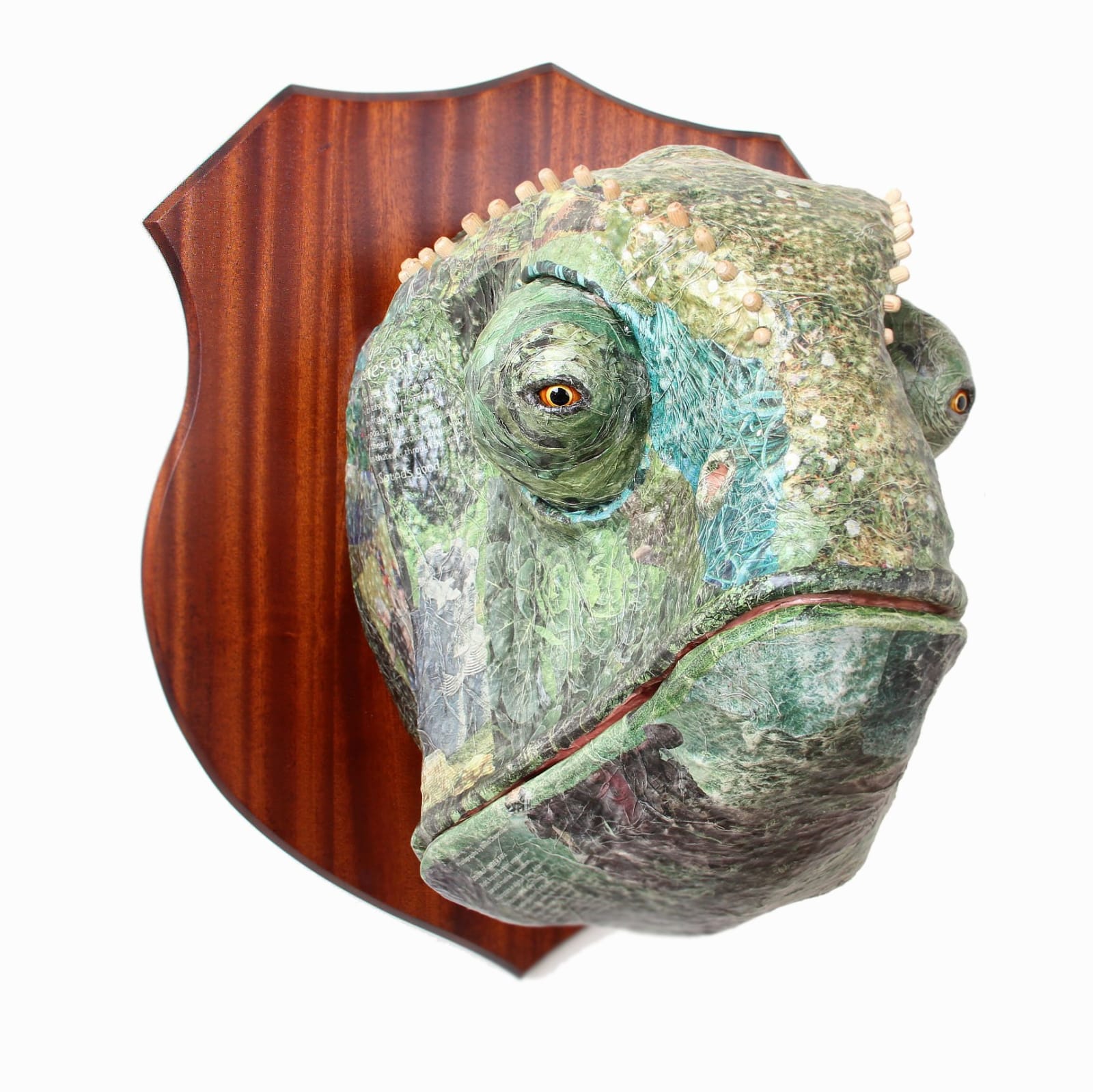 David Farrer, Chameleon, 2013