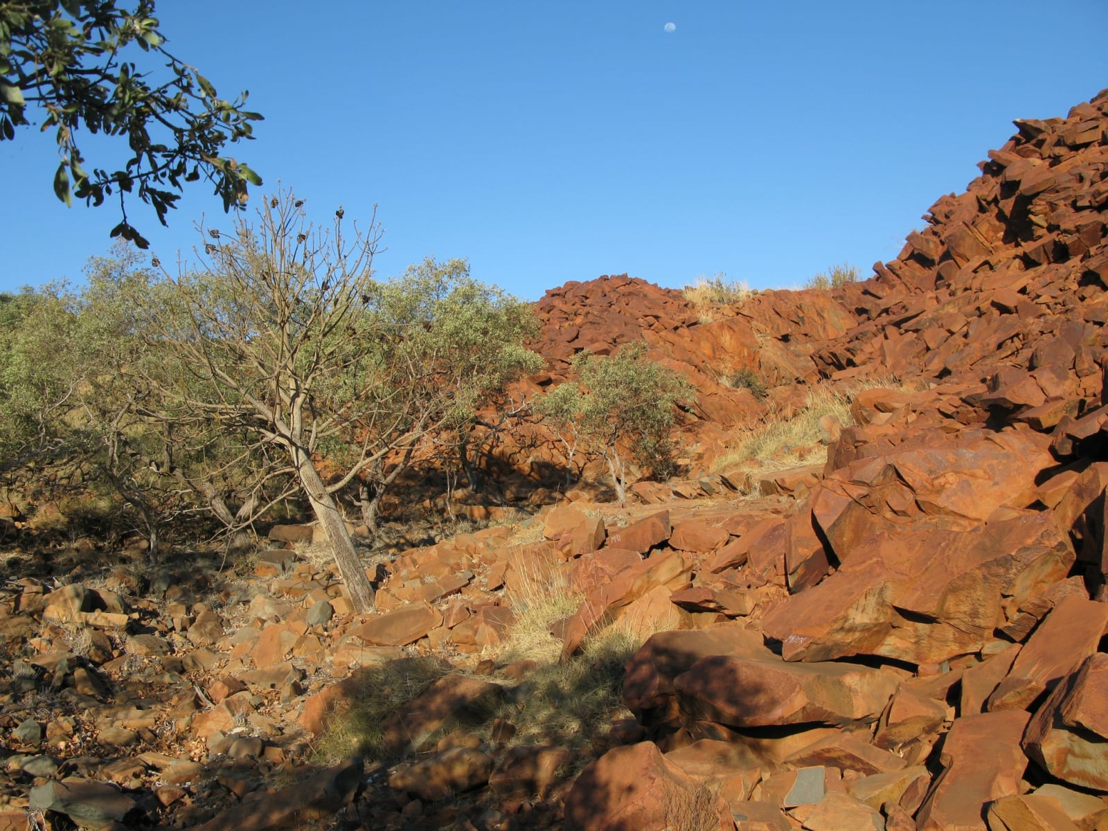 Askin (Ric) Morrison, Untitled 3, 2014