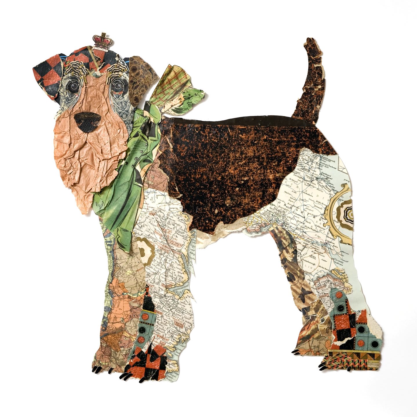 Peter Clark, Terrier King, 2012