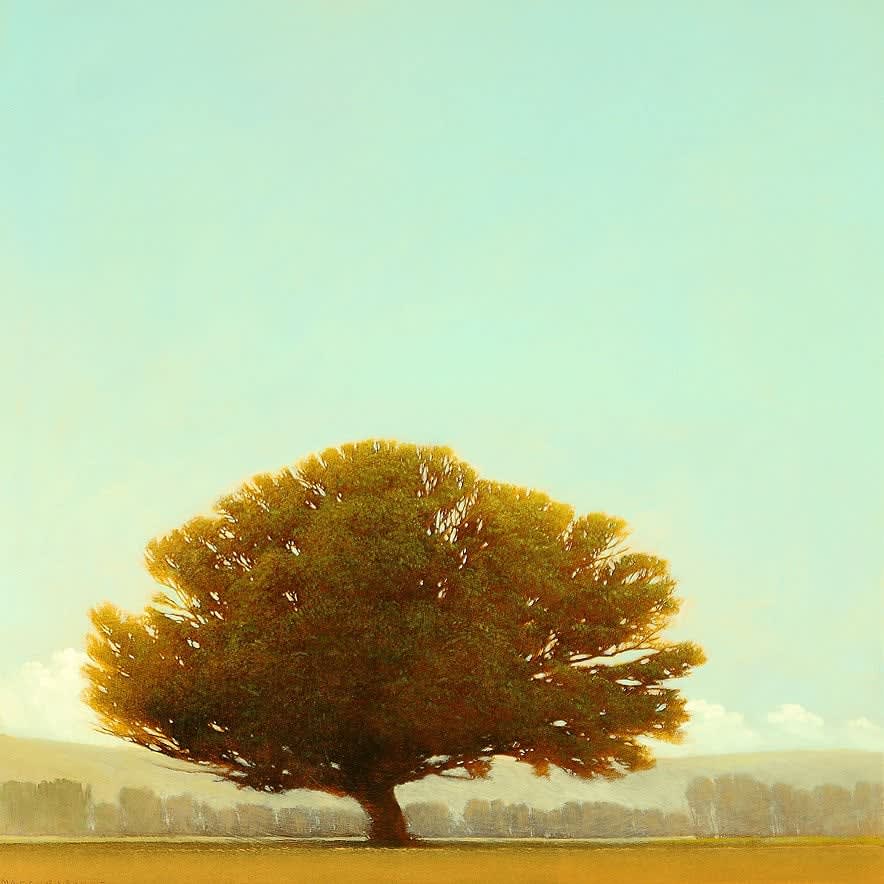 Robert Marchessault, Baltasa