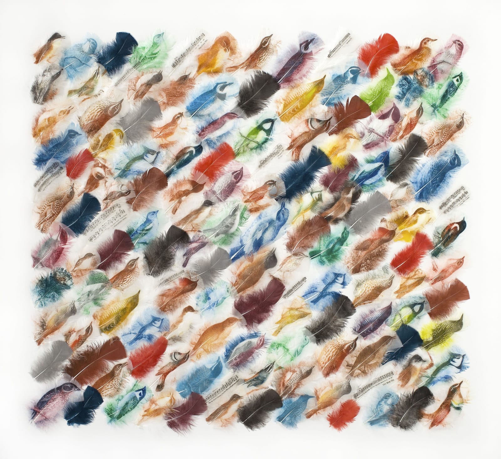 Rebecca Jewell, Song Bird Soup, 2014