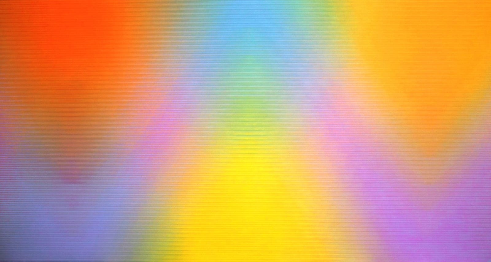 multi-colour oil painting by artist David Whitaker represented by Rebecca Hossack Gallery