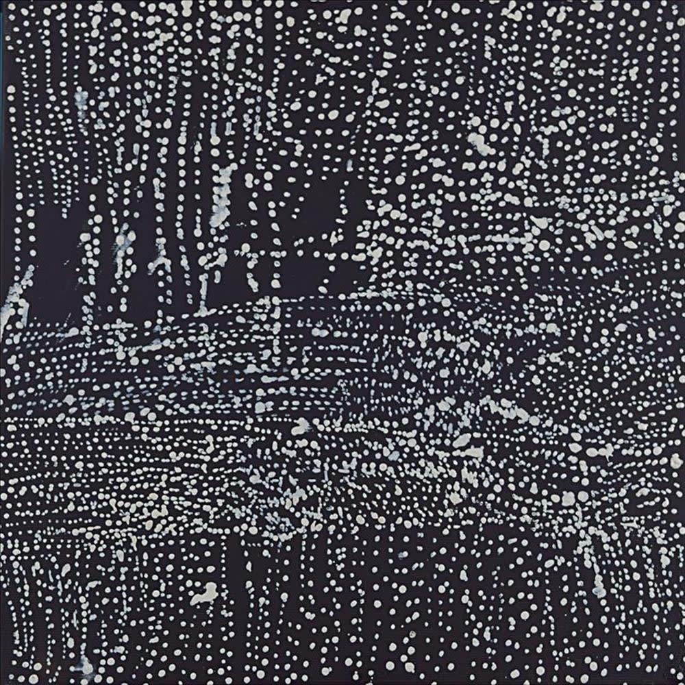 Julie Nangala Robertson, Mina Mina Jukurrpa (Mina Mina Dreaming)- Ngalyipi, 2016