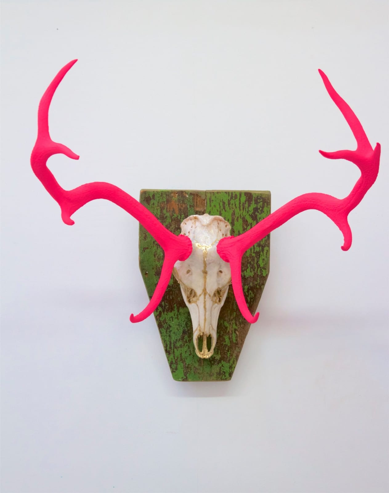 Tracy Lee Griffith, Haelen, 2017