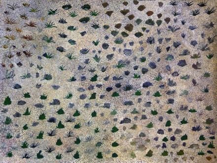 Artists of Ampilatwatja, View of My Country (Colleen Morton), 2011