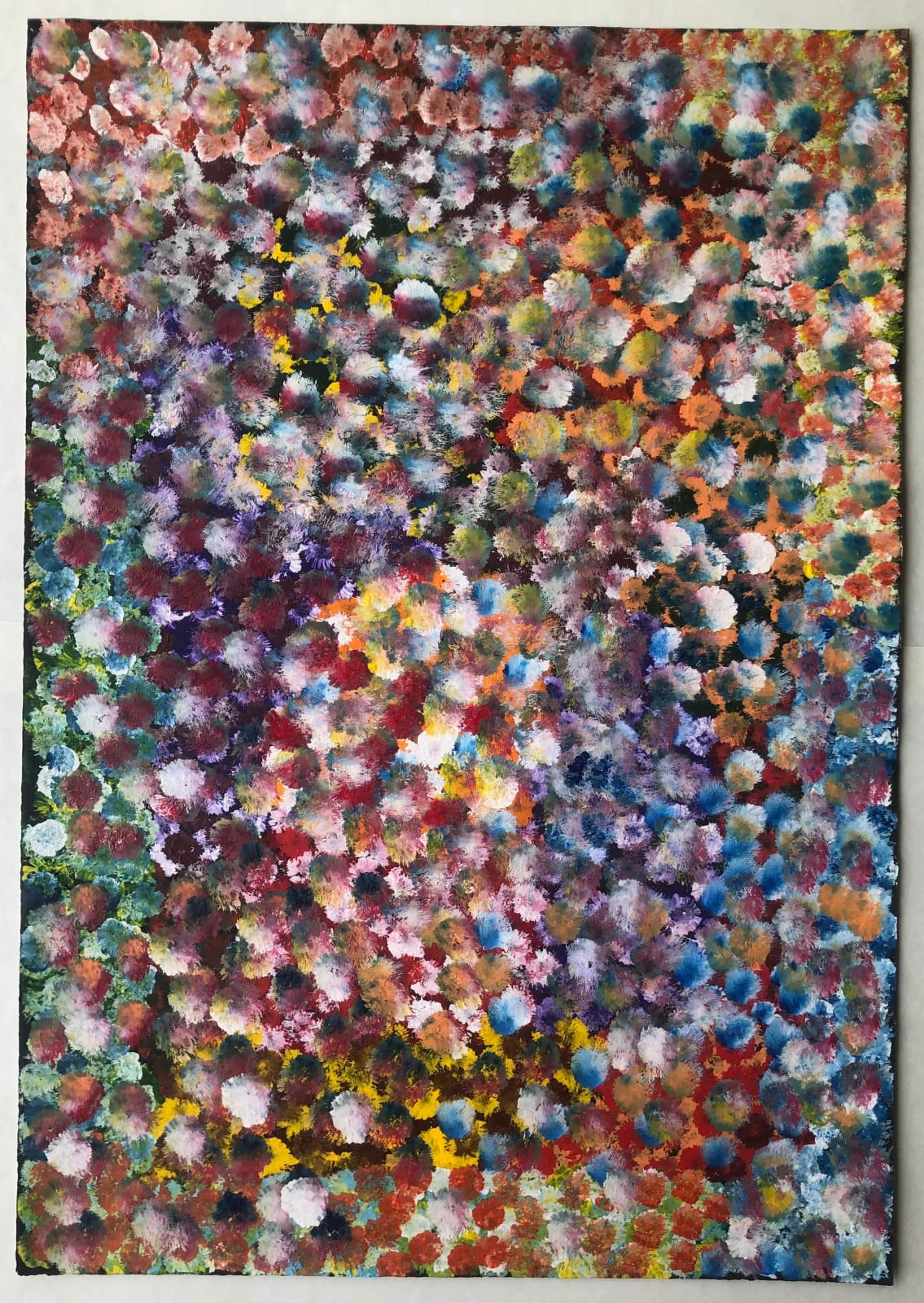 Katie Kemarre, Bush Flowers, n.d
