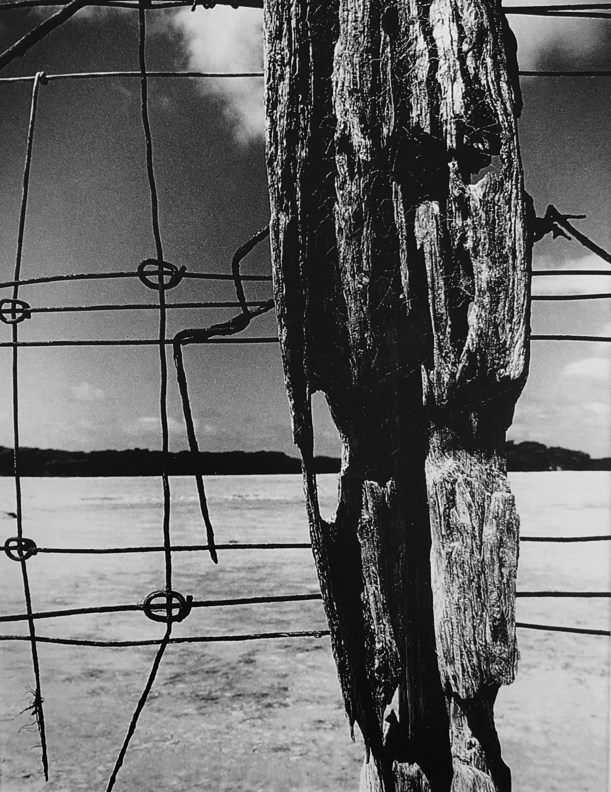 John Cato (c.1926-2011), Broken Spears #6 , 1978-1983