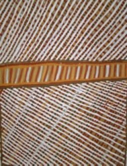 Jean Baptiste Apuatimi, Pumpumi Jilamara, 2009