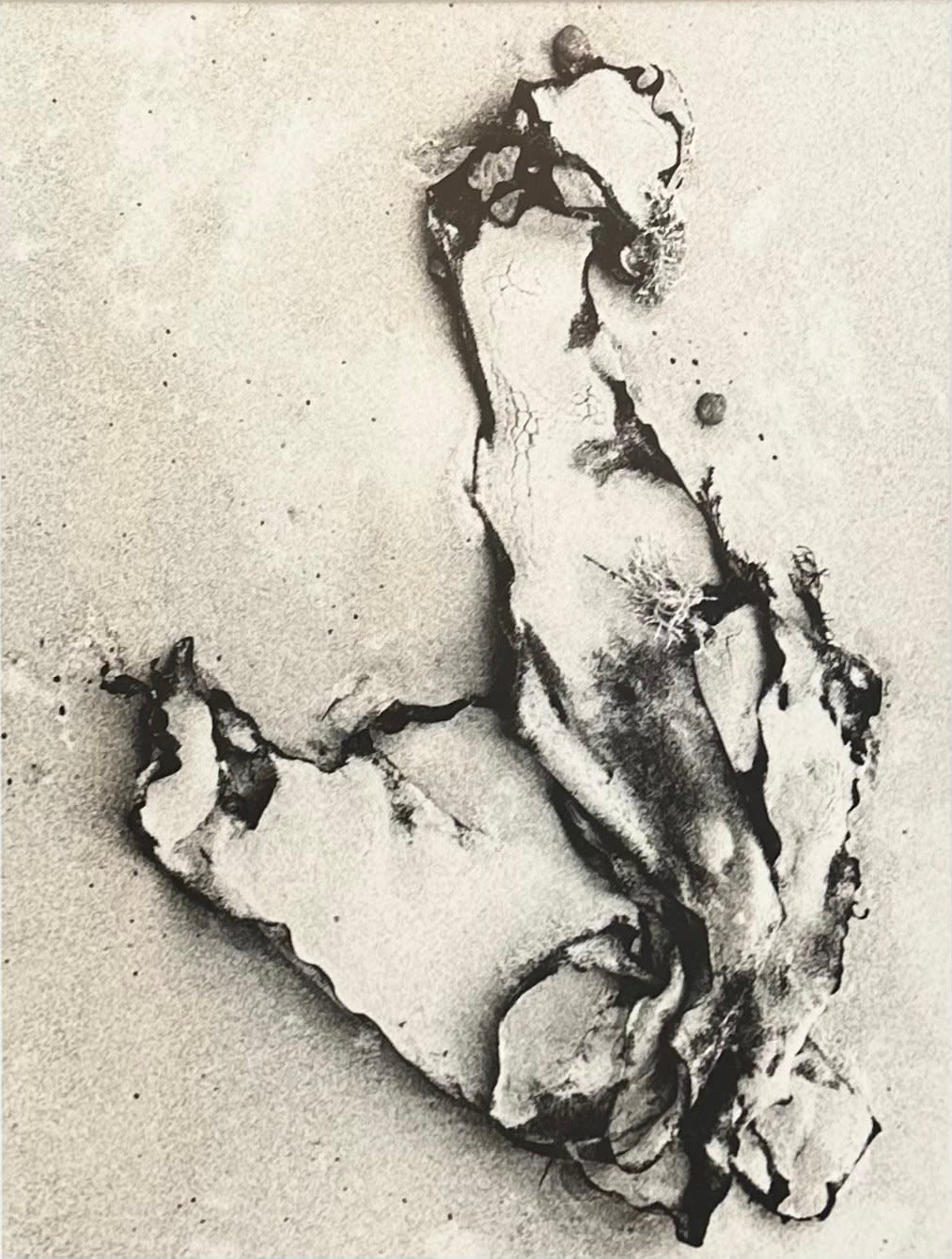 John Cato (c.1926-2011), Seawind #6 , 1971-1973