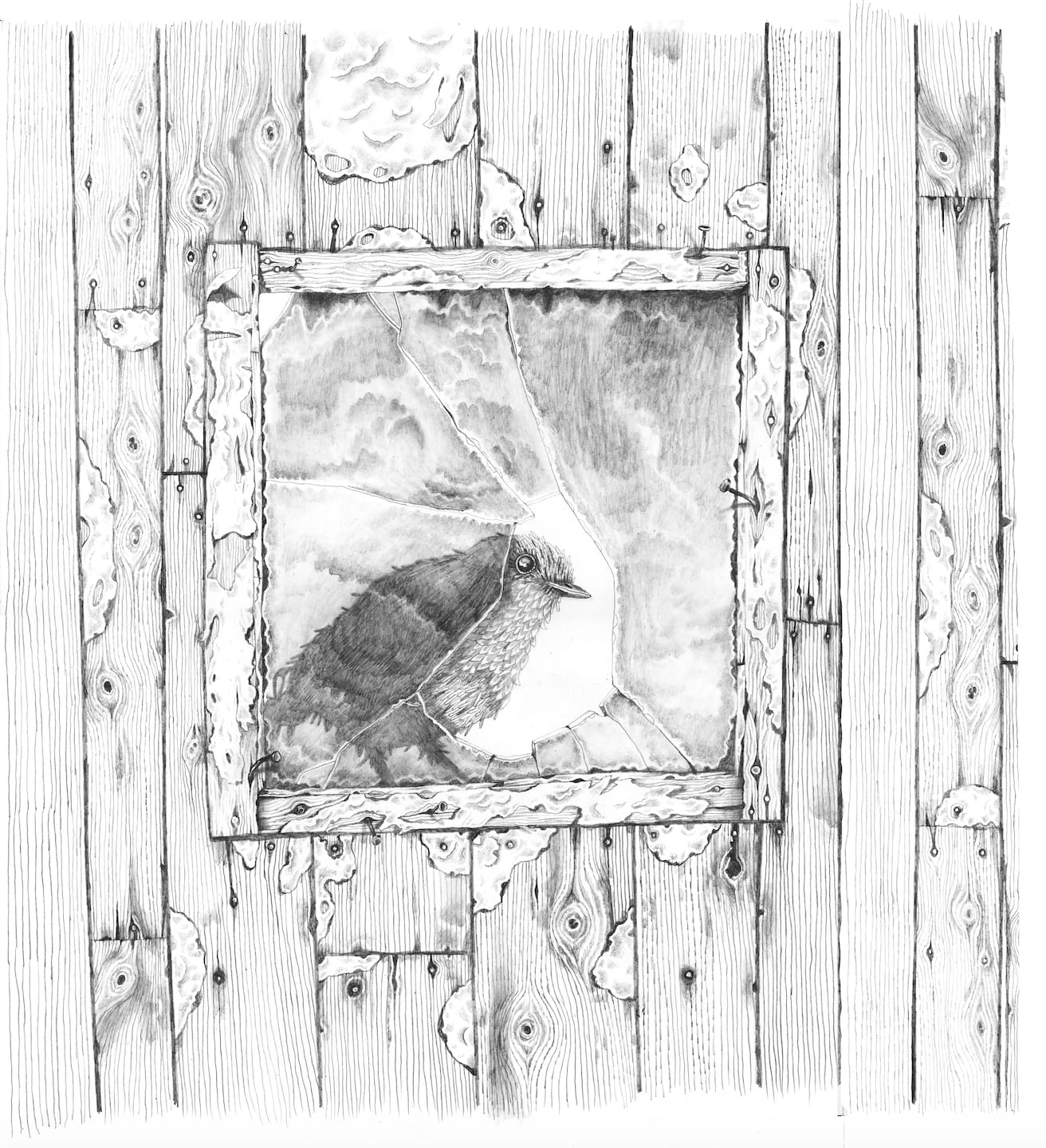 Jason Jameson, The Robin Through Broken Glasses, 2020