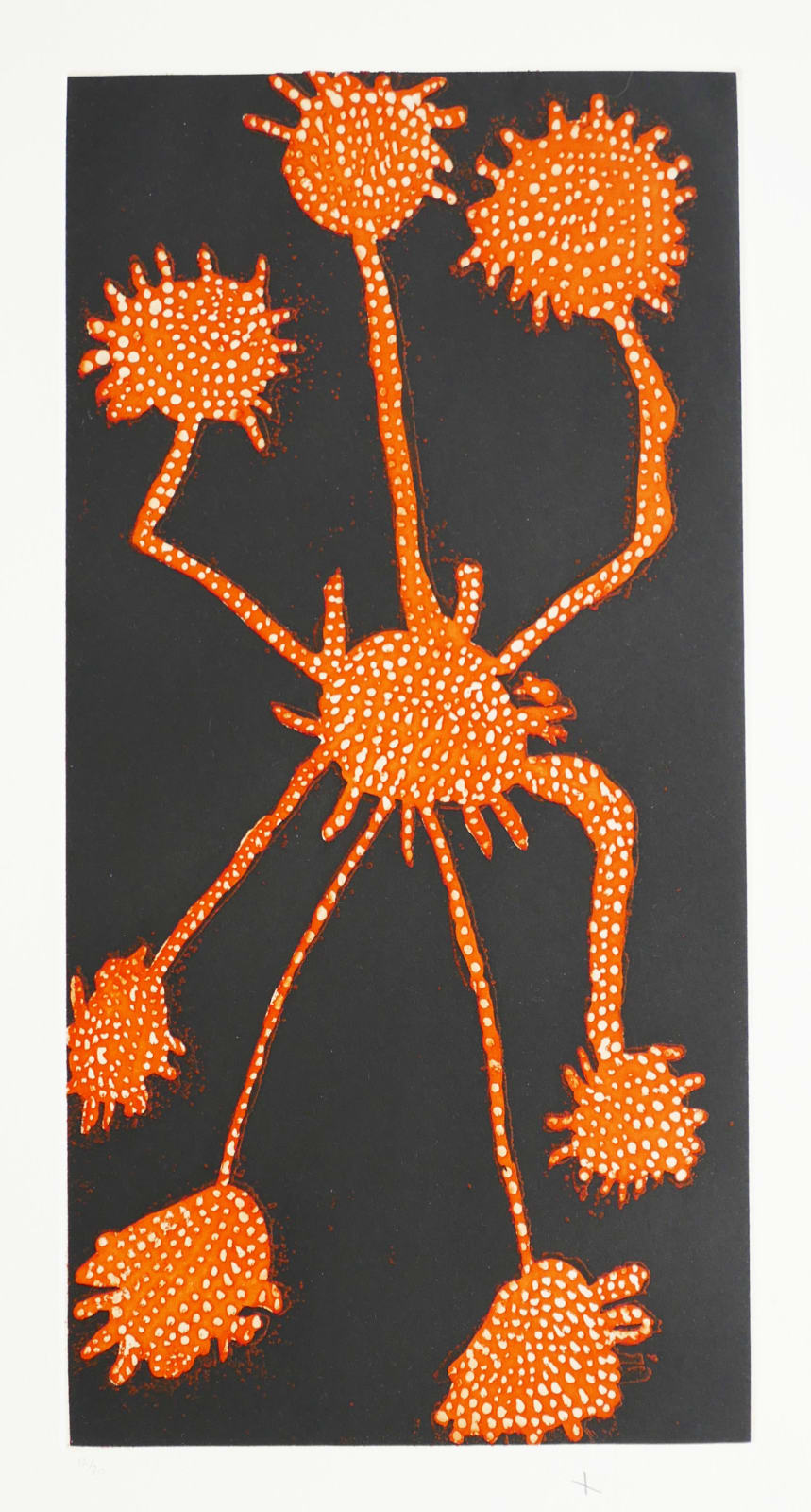 Lena Kurriniya, Water Plant , 2001