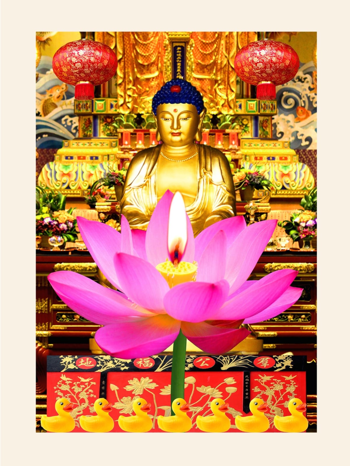 Sunny Aspects, Lotus, 2014