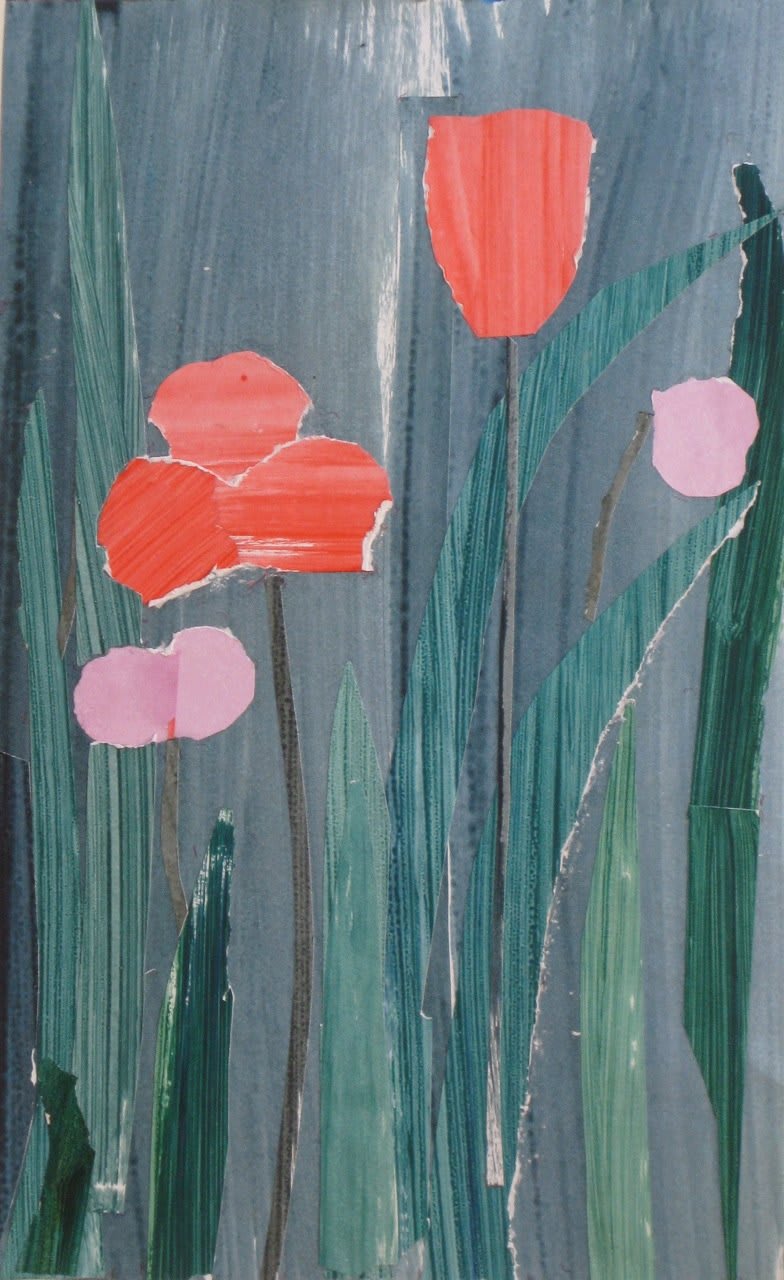 James Farrelly, Iris and Tulip