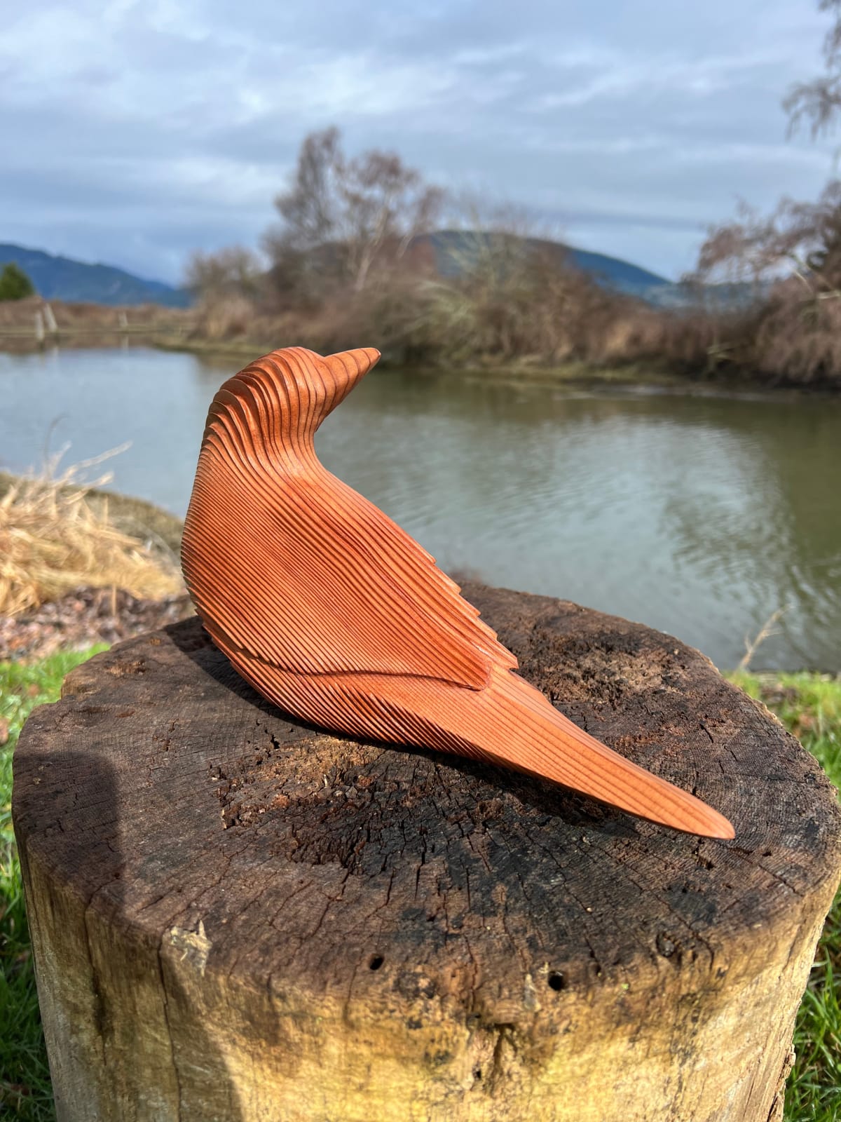 Andrew Vallee, Redwood Raven, 2024