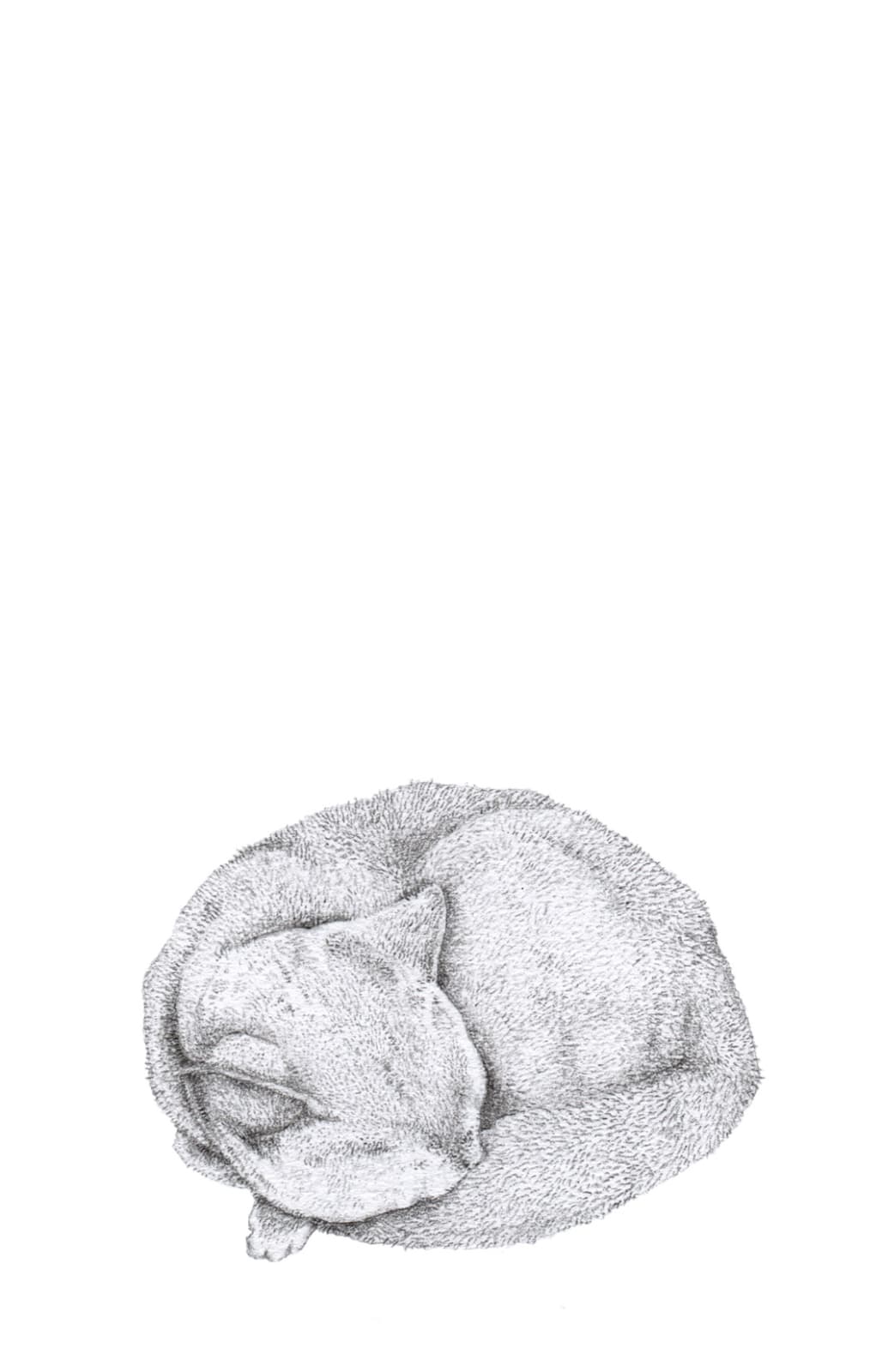 Jackie Case, Dreaming of Us, 2014