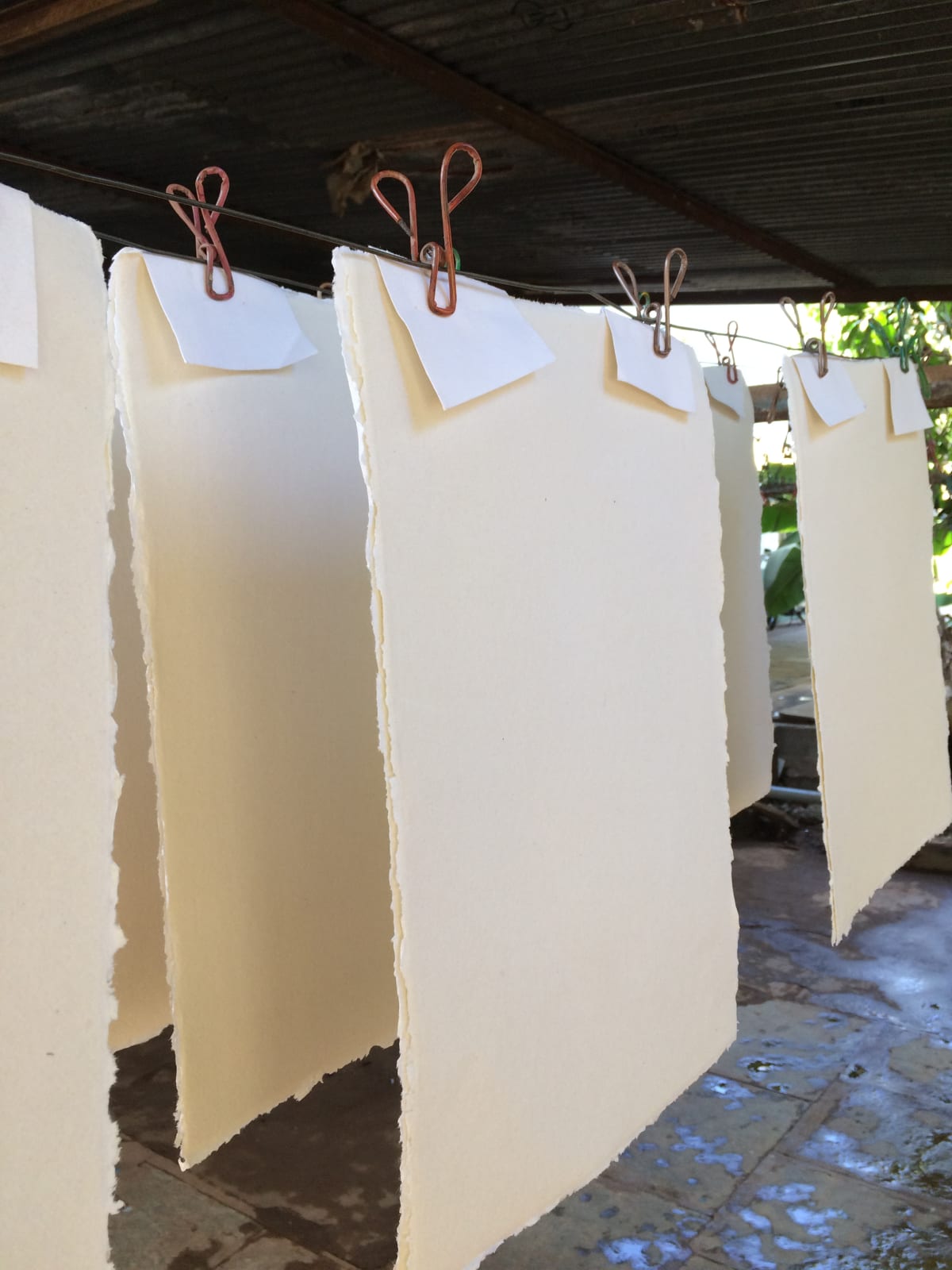 Barbara Macfarlane, Khadi Paper hanging