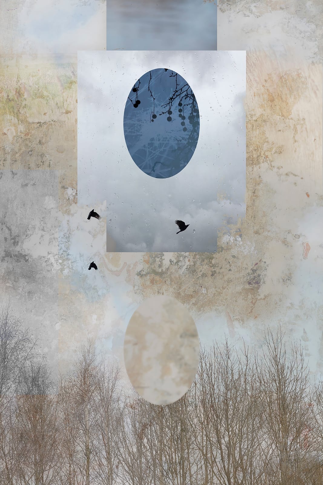 Artwork by photographer Luke White available at the Rebecca Hossack Art Gallery.