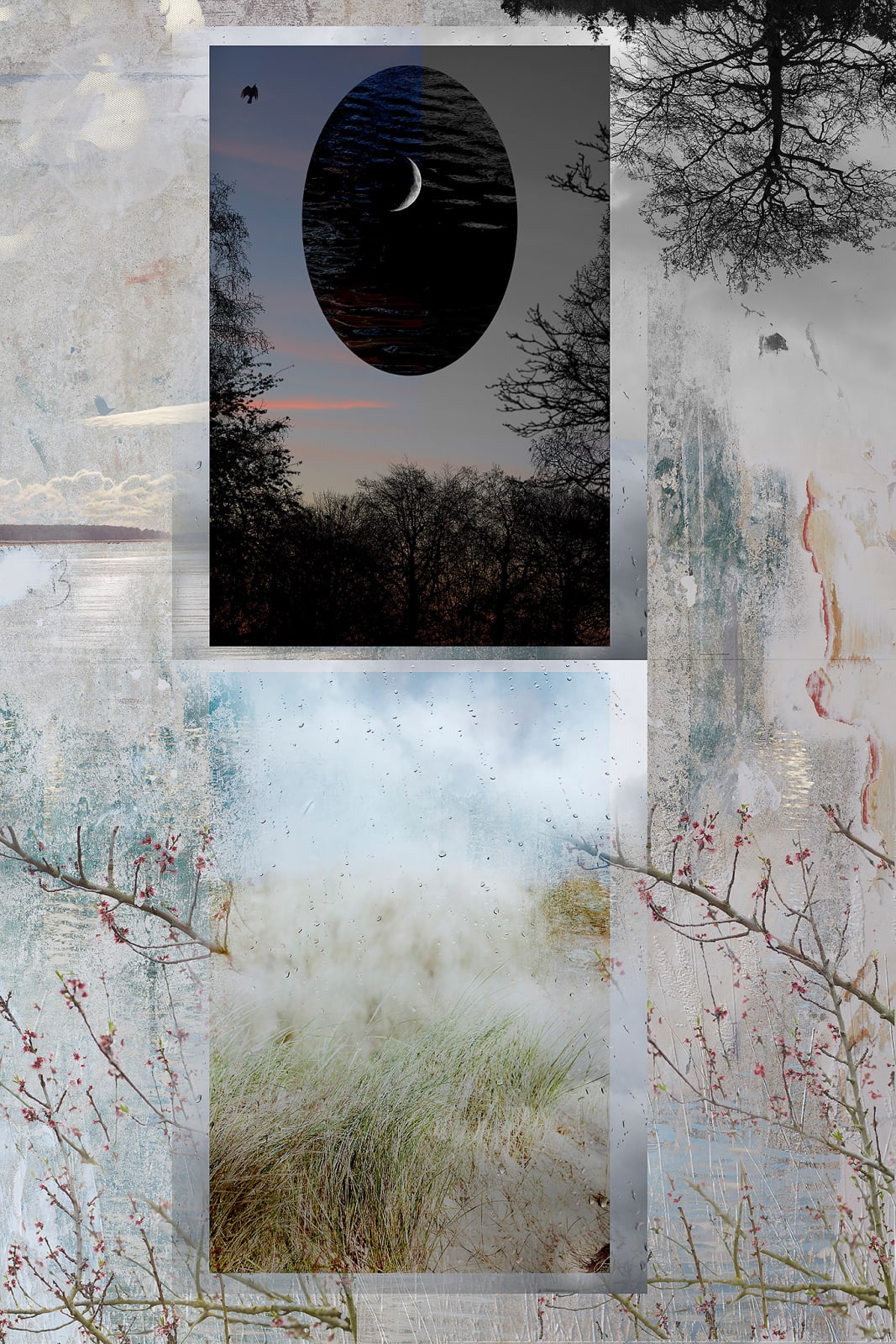 Artwork by photographer Luke White available at the Rebecca Hossack Art Gallery.