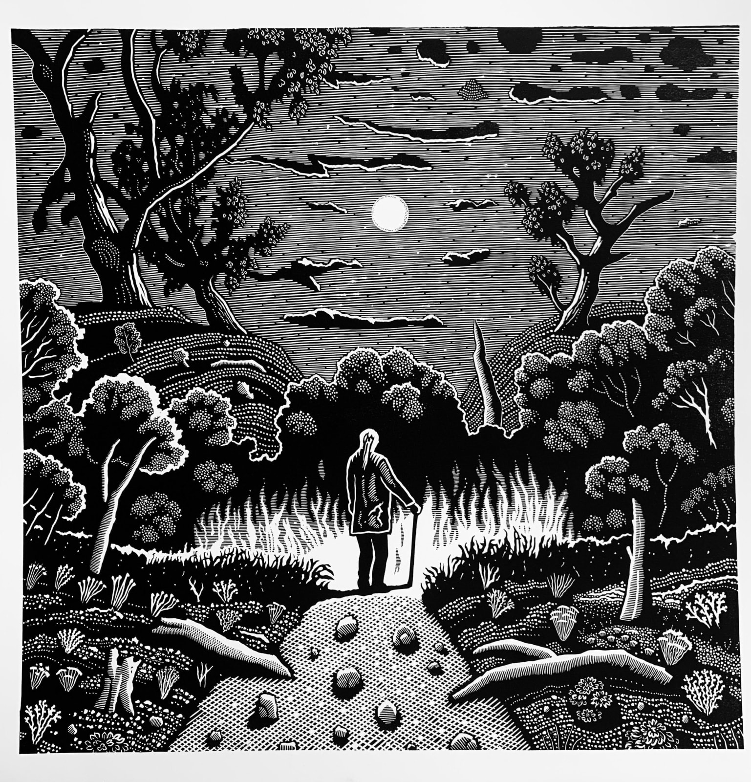 David Frazer, Burning Moonlight (Major), 2025