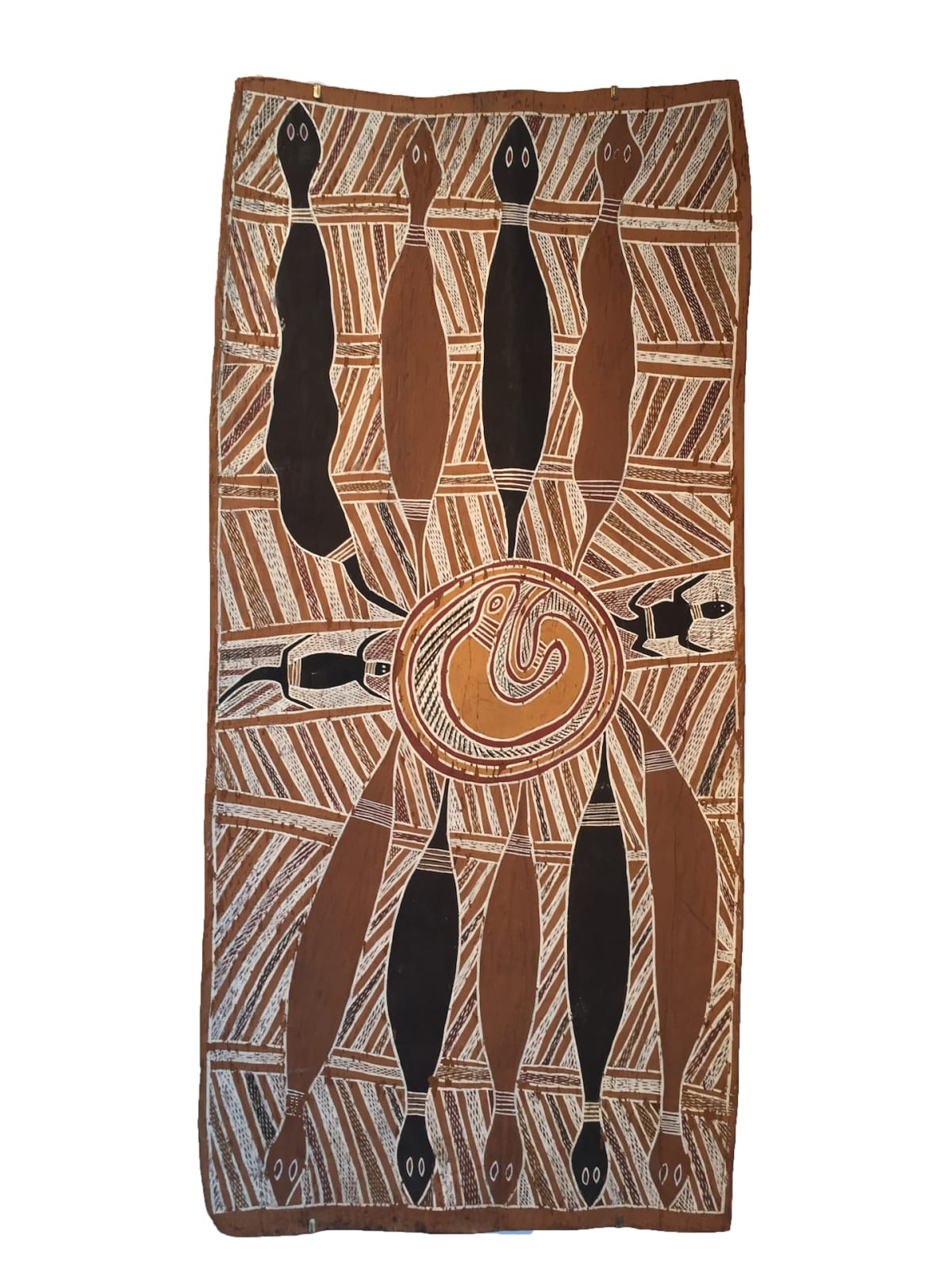 Tunbiala, ochre pigments with PCV fixative on stringybark - eucalyptus tetradonta, Yirrkala, Aboriginal artist and artwork