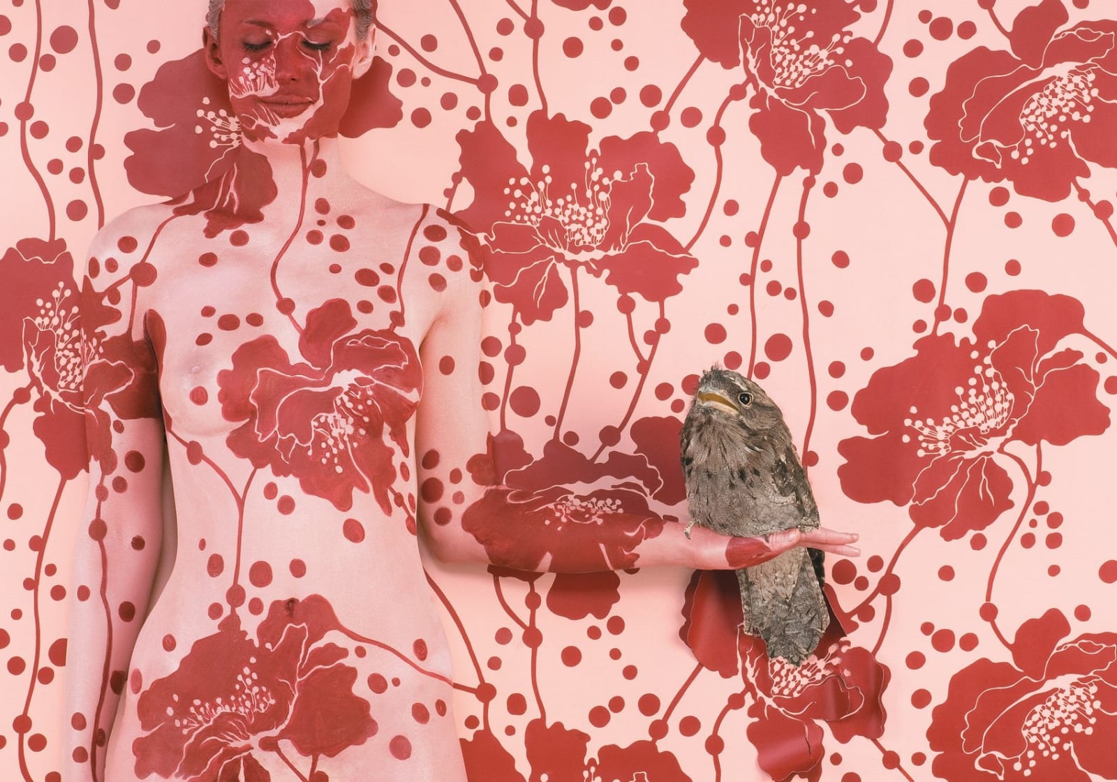 Emma Hack, Wallpaper Tawny Frogmouth, 2008