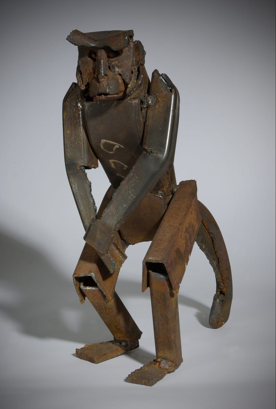 Iain Nutting, Young Capuchin IV, 2011