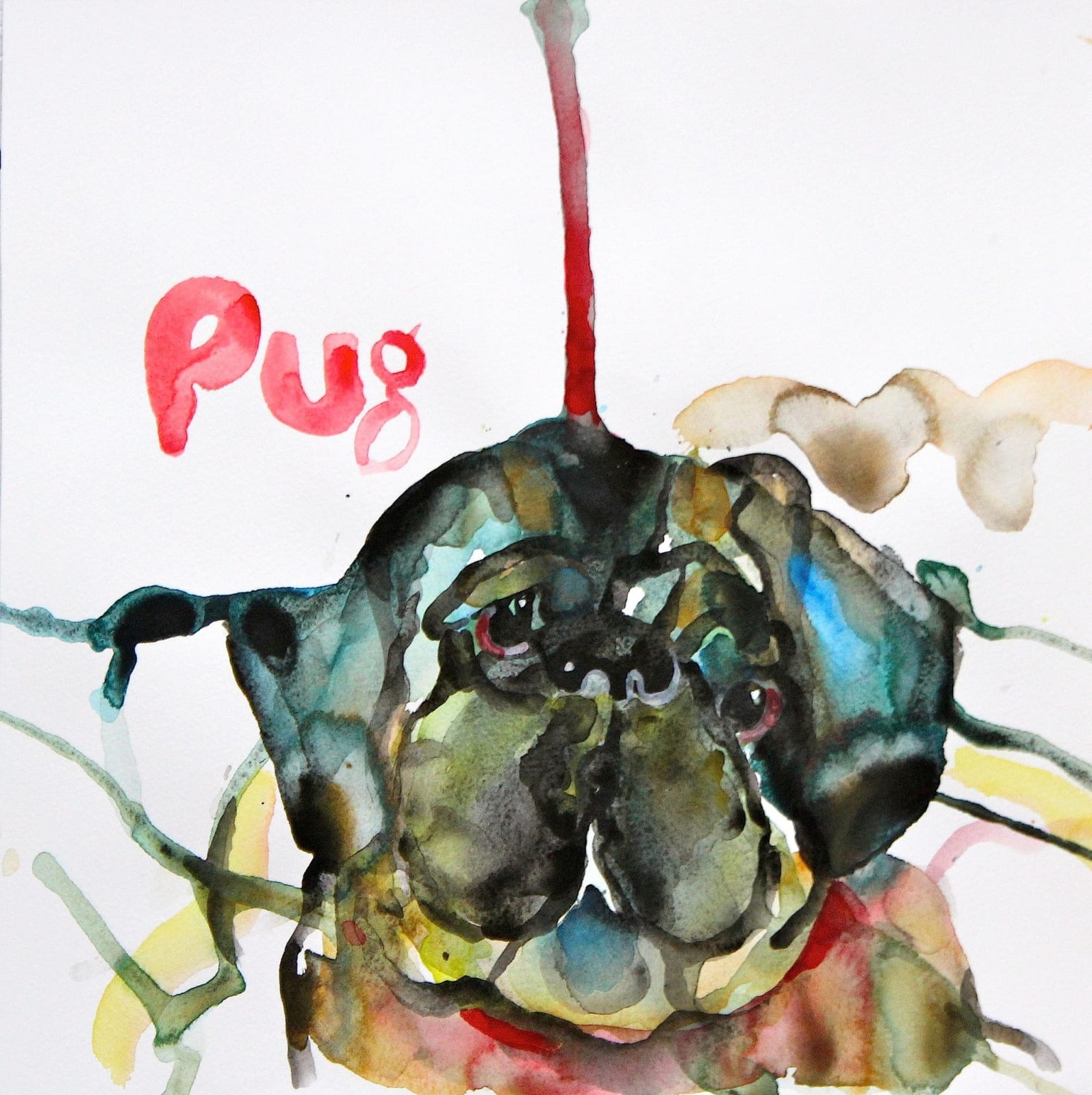 Peter Clark, Hidden Pug, 2014