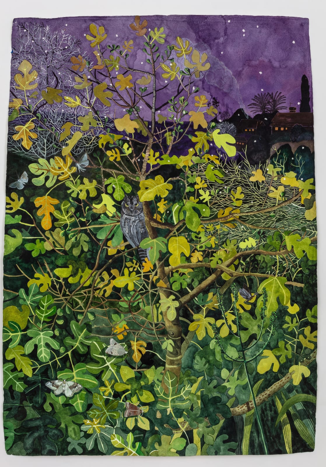 Watercolour painting of a tree with yellow lives under a dark purple sky with stars by British-Cypriot artist Sophie Charalambous represented by Rebecca Hossack Art Gallery.