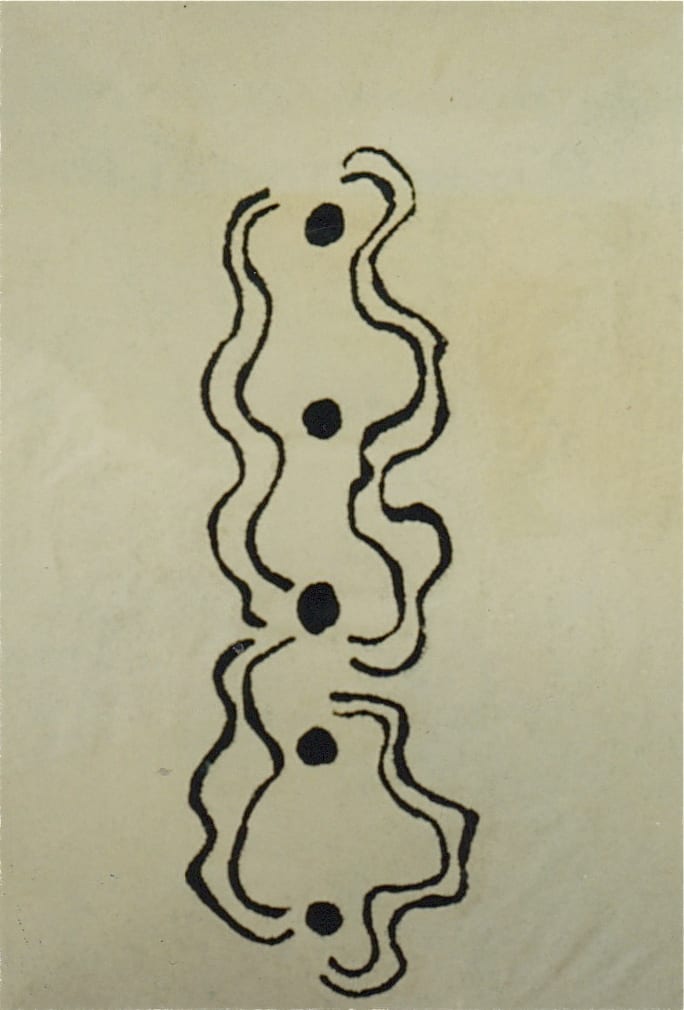 Beryl Nakamarra Barnes, Snake (Warna) Dreaming , 1991