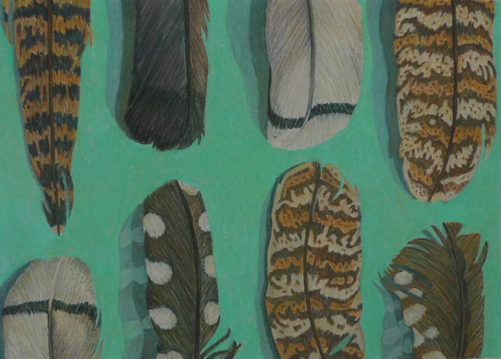 Aaron Kasmin, Feathers, 2015