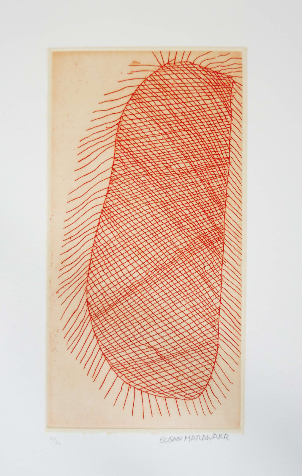 Susan Marawarr, Untitled, n.d.
