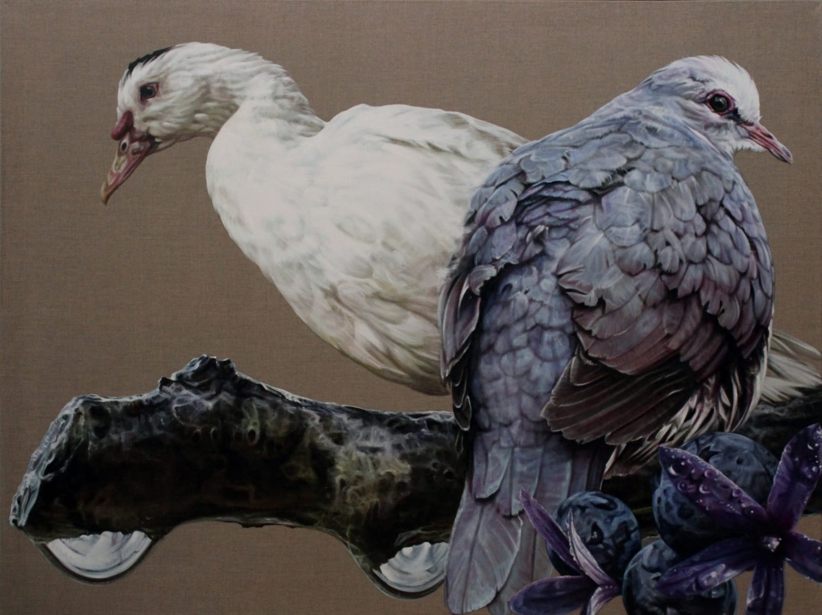 Anne Middleton, Of Love, Fidelity And The Colour Purple, 2015