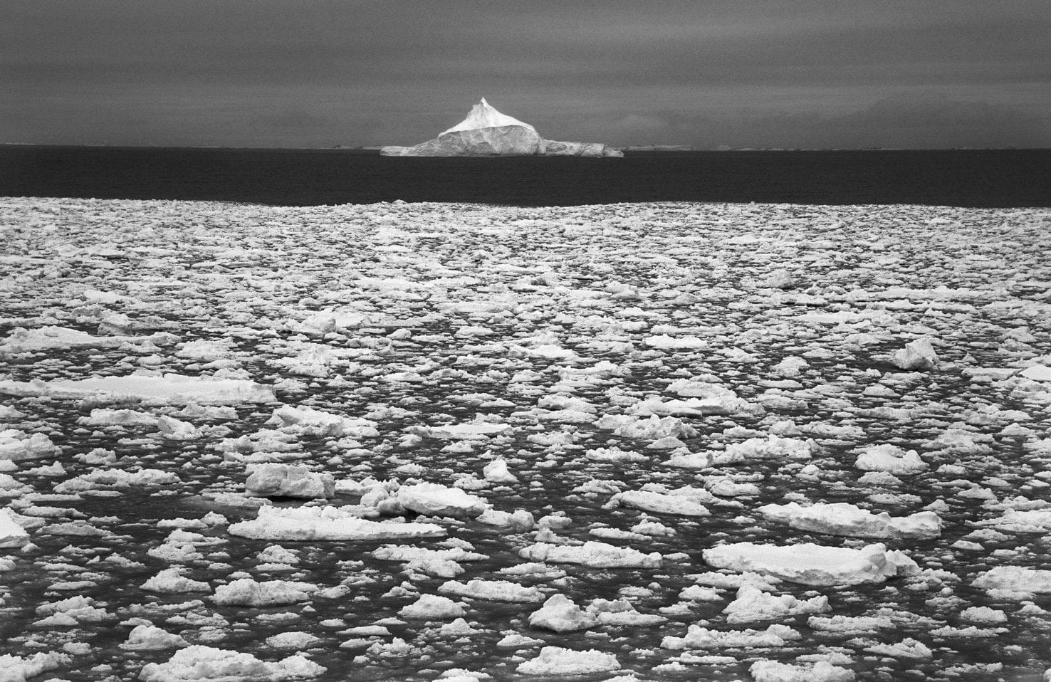 Garlinda Birkbeck, Big Top, 2012