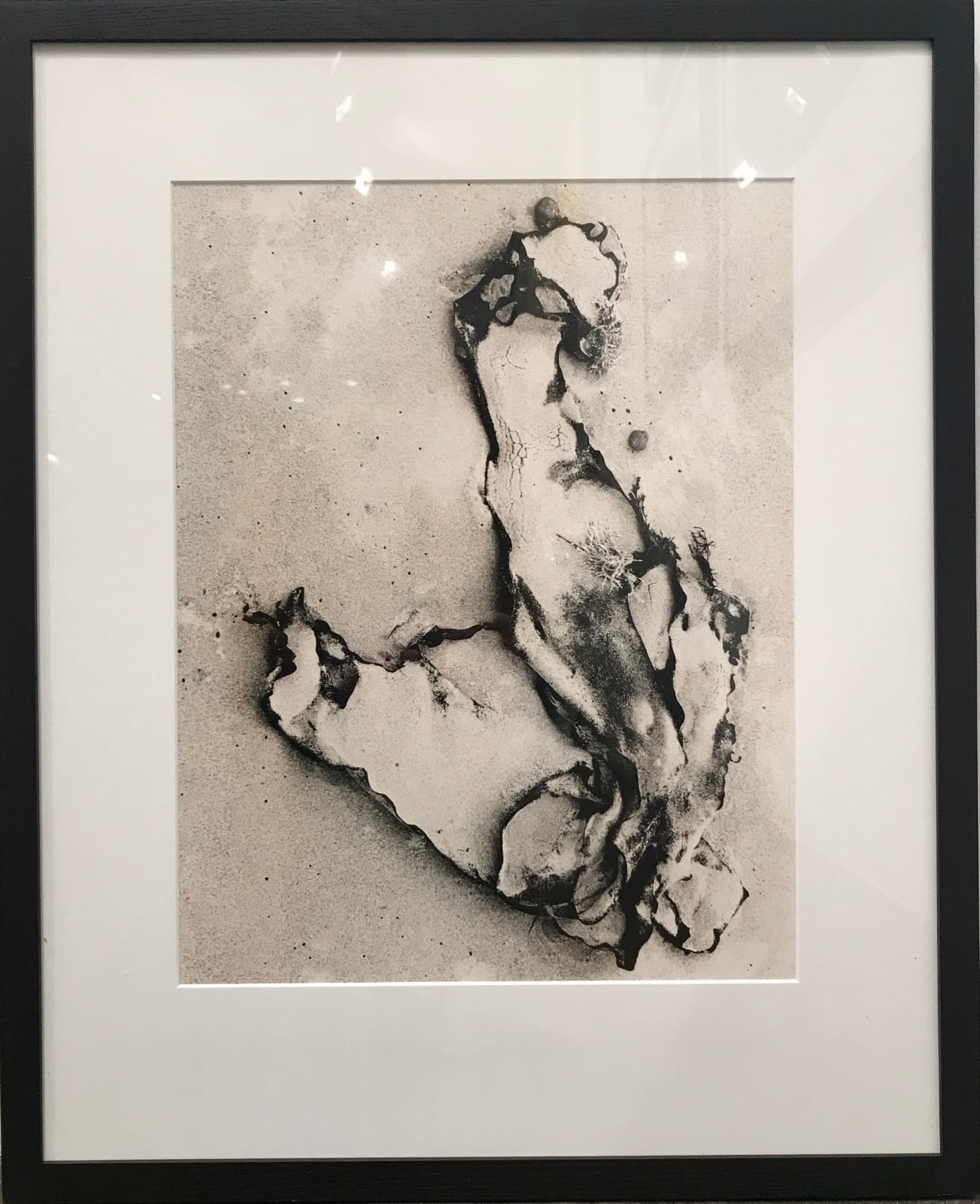 John Cato (c.1926-2011), Seawind #6 , 1971-1973