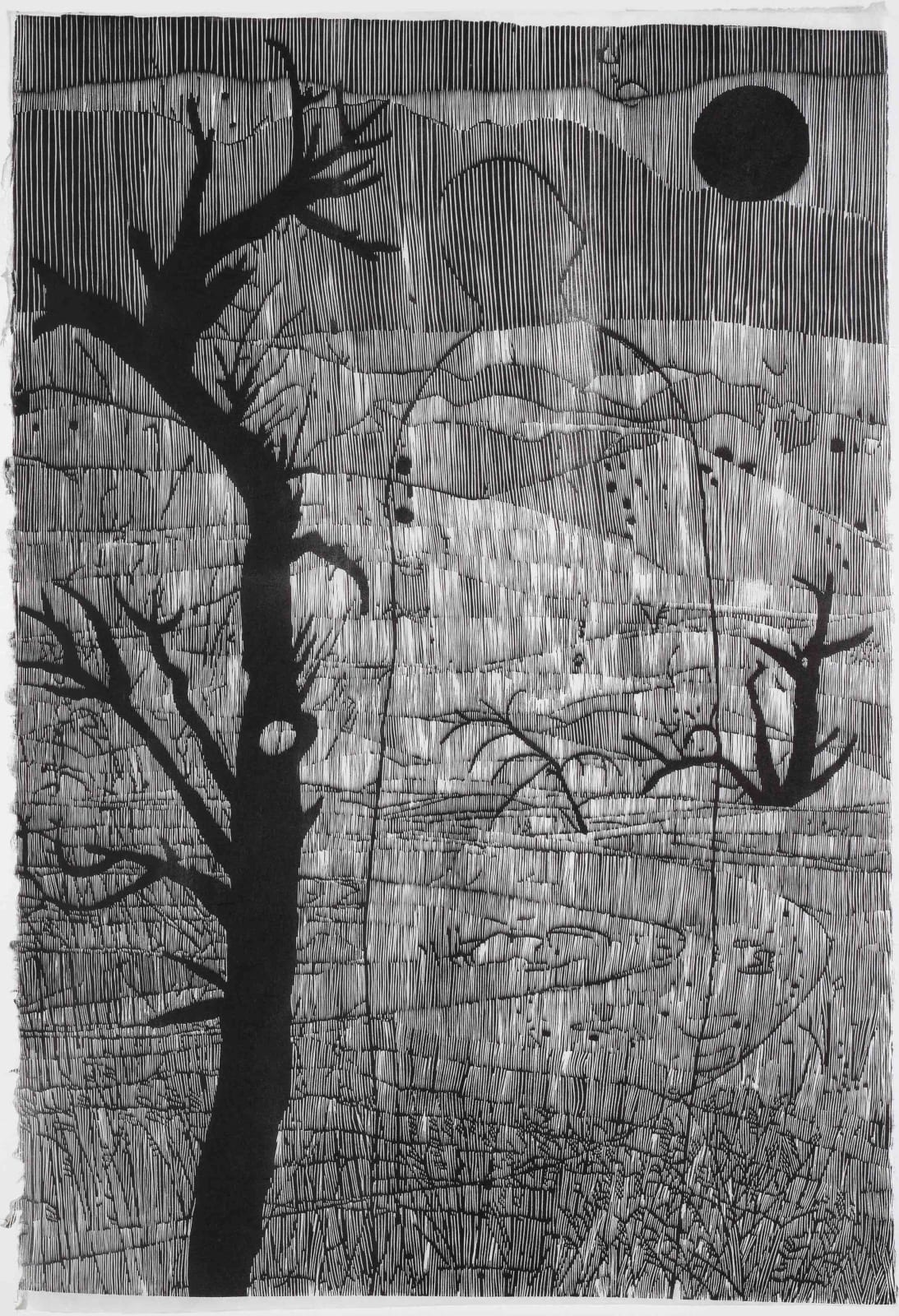 G.W. Bot, Grassland Glyphs, 2016