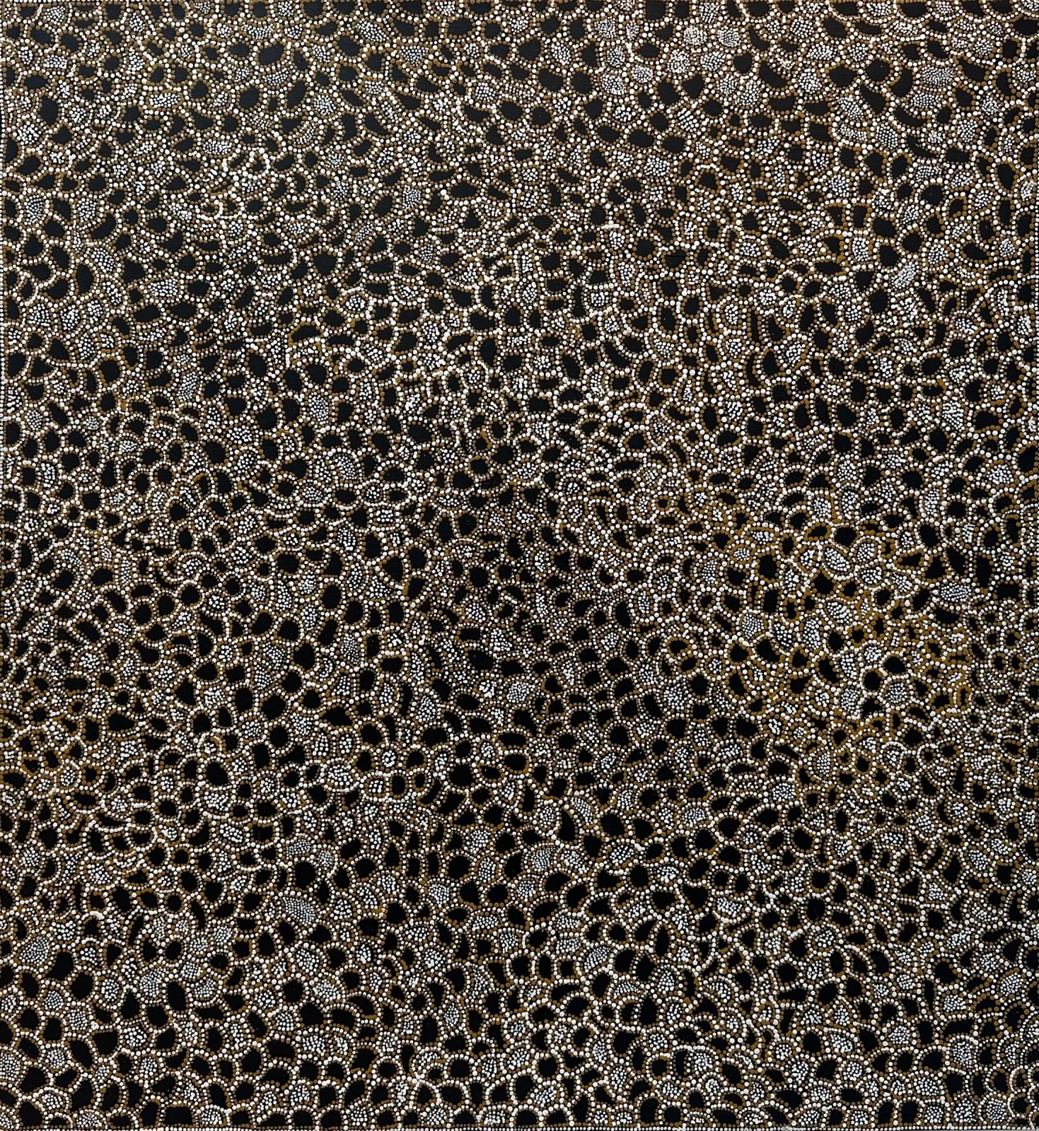 Dorothy Napangardi, Karntakurlangu Jukurrpa - Belonging to Women, 1999