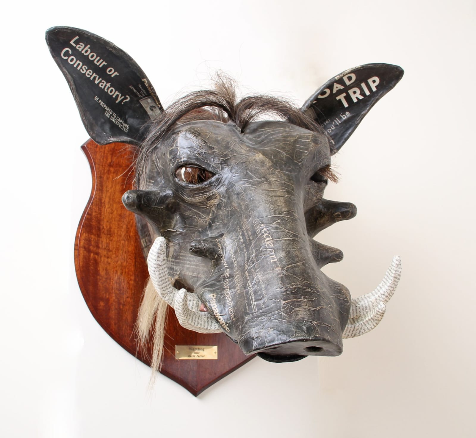 David Farrer, Warthog, 2013