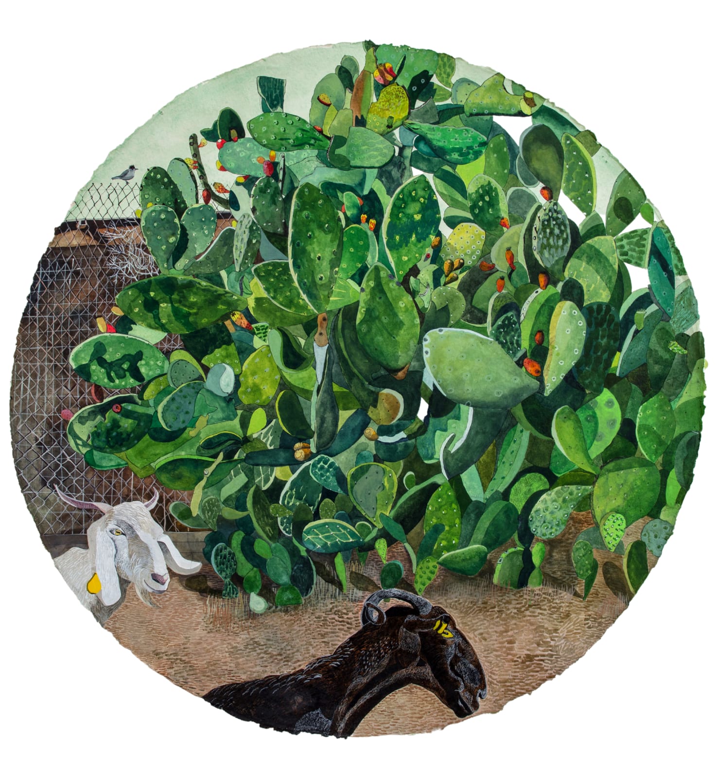 Watercolour and gouache painting of two goats and a prickly pear tree by British-Cypriot artist Sophie Charalambous inspired by the flora and fauna of the island of Cyprus.