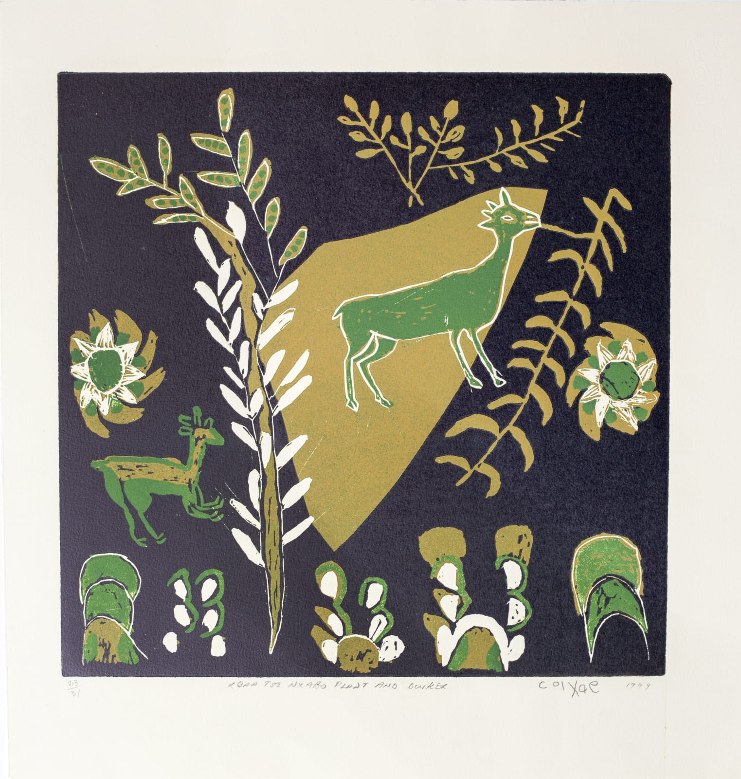 Coixe Bob, Xqaa Tse Nxabe - Plant & Duiker, 1999