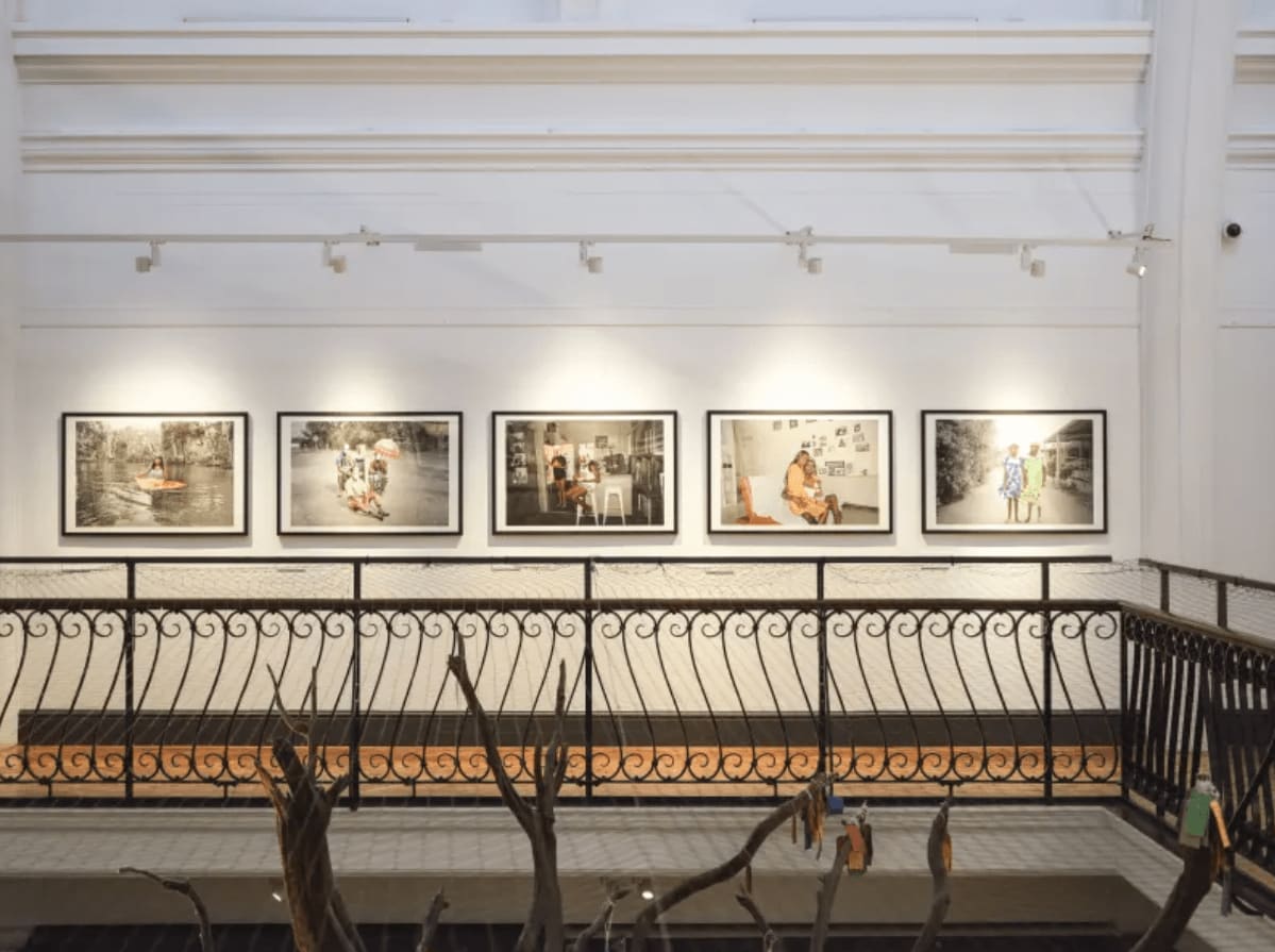 Five Naomi Hobson paintings hanging on a wall at the Horniman Museum