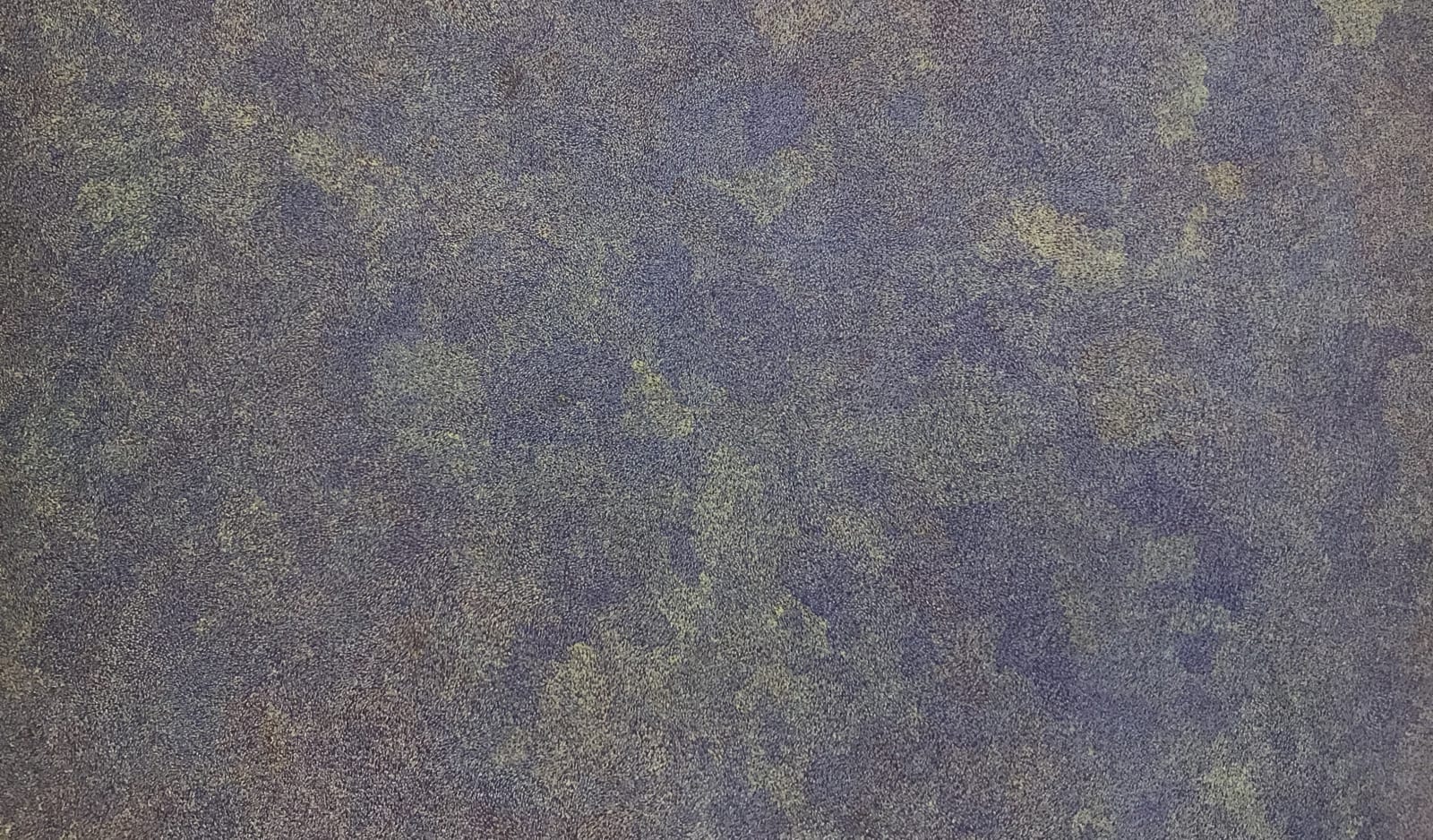 Elizabeth Kunoth Kngwarray, Yam Seeds and Flowers, 2008