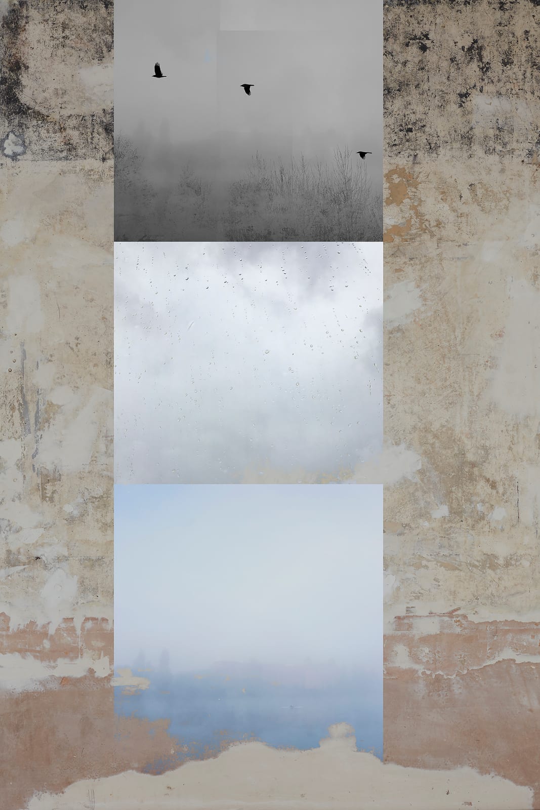 Artwork by photograph Luke White available at the Rebecca Hossack Art Gallery.