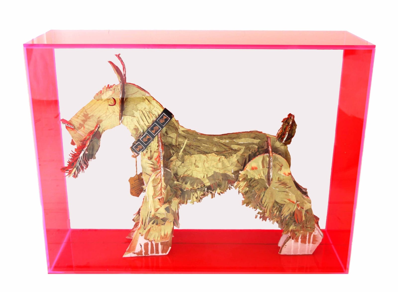 Peter Clark, Schnauser Wowzer, 2014